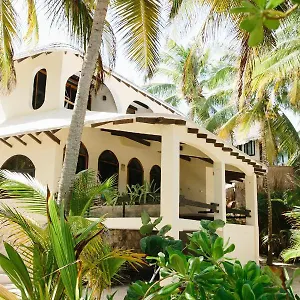 olas-tulum.quintano-roohotels.com/