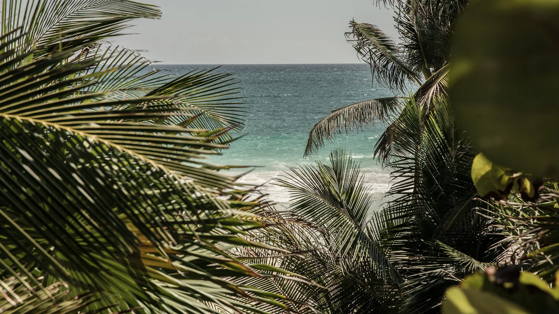 Be Tulum Beach & Spa Resort (Adults Only)